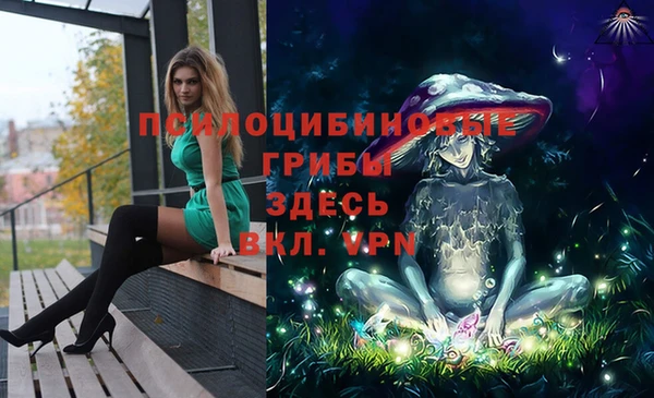 кокаин колумбия Алексин