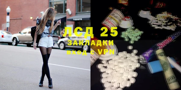 прущие грибы Алзамай